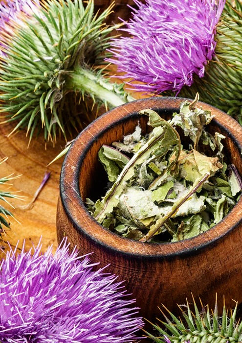 Différences clés entre Chardon Marie de Laboratoire Sublime et Chardon Marie de Nutri&Co